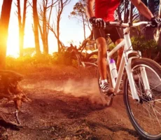 Evening Rides Evening Rides