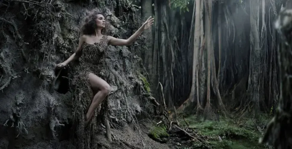 Living Art Living Art