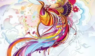 Phoenix Illustration